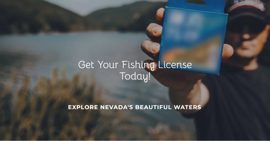 Nevada Fishing