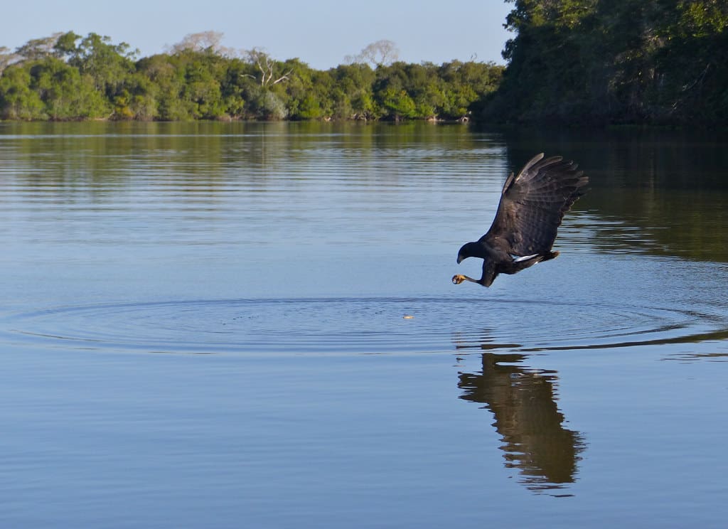 Top Fishing Havens in Black Hawk Lake, Iowa State