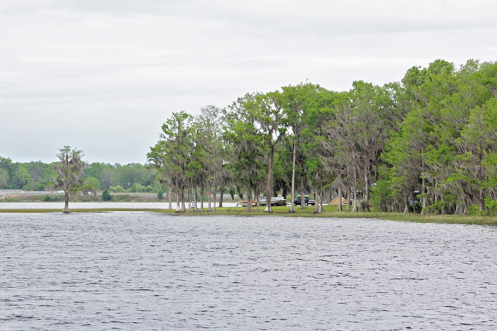 Top Fishing Destinations: Henderson Lake, Louisiana Guide