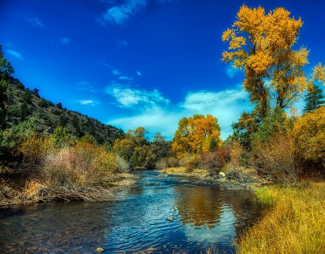 Top Fishing Locations in North Platte River, Colorado