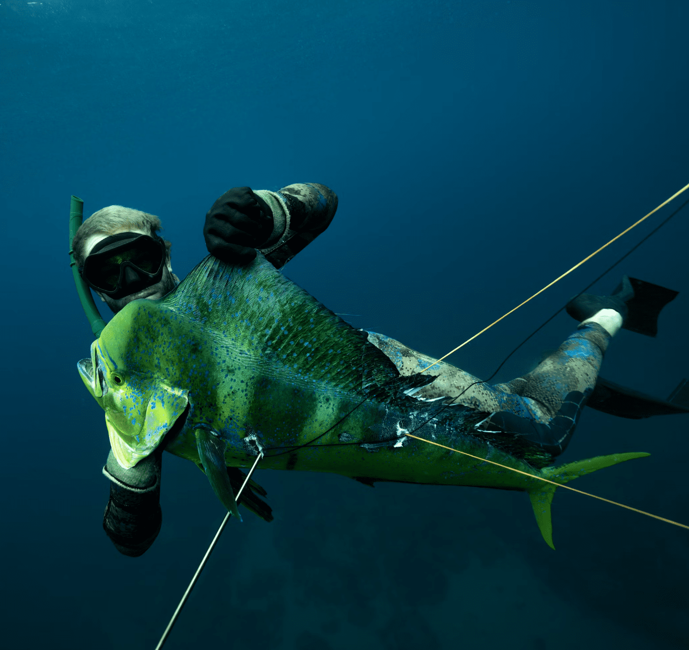 Mahi Mahi