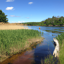 Beautiful fishing in Massachusetts